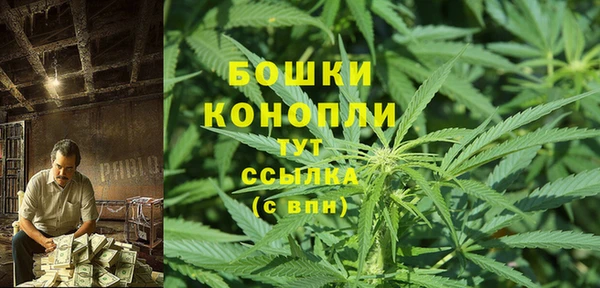эйфоретик Новодвинск