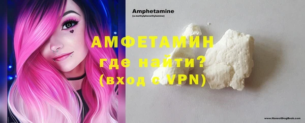 амф Щигры