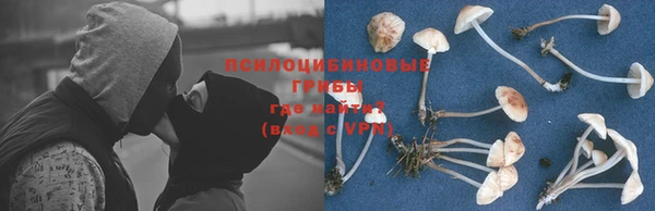 эйфоретик Новодвинск