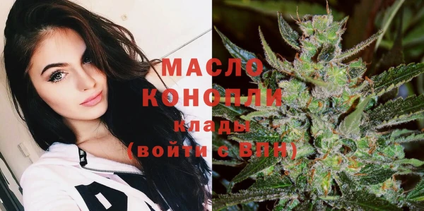 хмурый Новозыбков