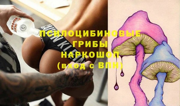 хмурый Новозыбков