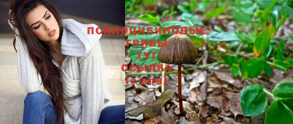 хмурый Новозыбков