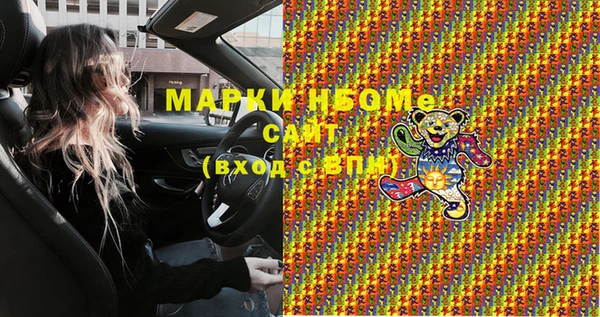 хмурый Новозыбков