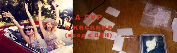 хмурый Новозыбков